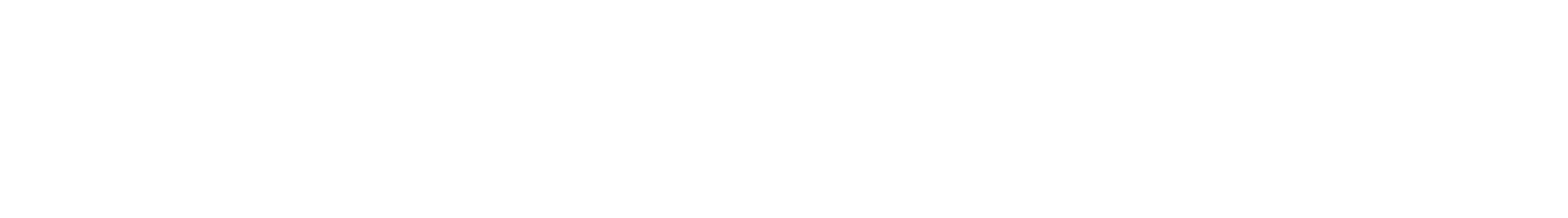 Organização e parceiros